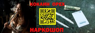гашик Можга