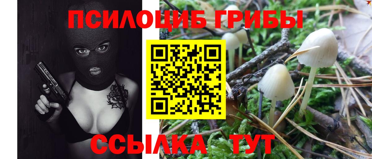 Псилоцибиновые грибы MAGIC MUSHROOMS Аксай